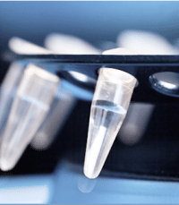 Premade Antibody Library Screening